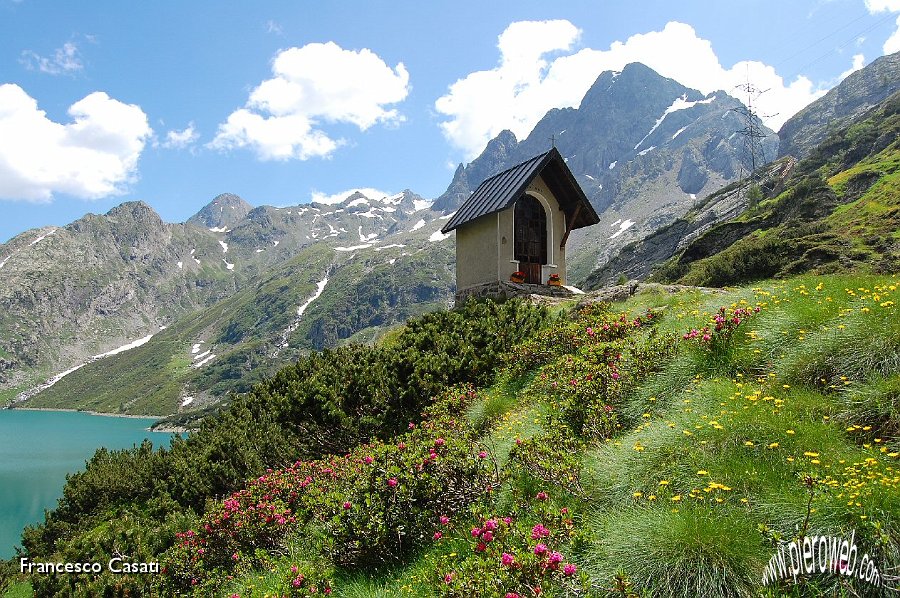 04 La chiesetta del Curò tra rododendri e pini mughi.jpg